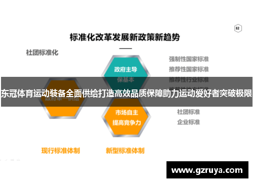 东冠体育运动装备全面供给打造高效品质保障助力运动爱好者突破极限